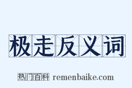 极走反义词是什么意思的图片